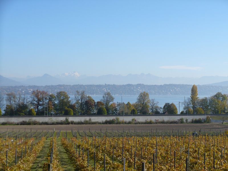 Geneve et son lac et le Mont Blanc